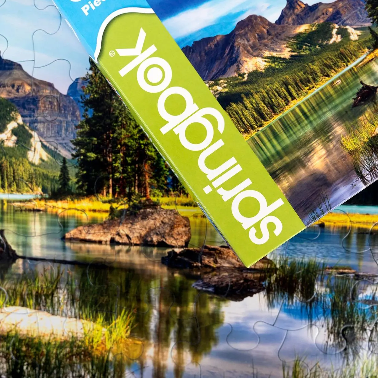 Puzzles to Remember - Spirit Island