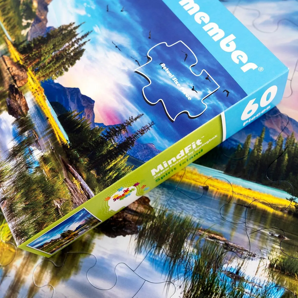 Puzzles to Remember - Spirit Island