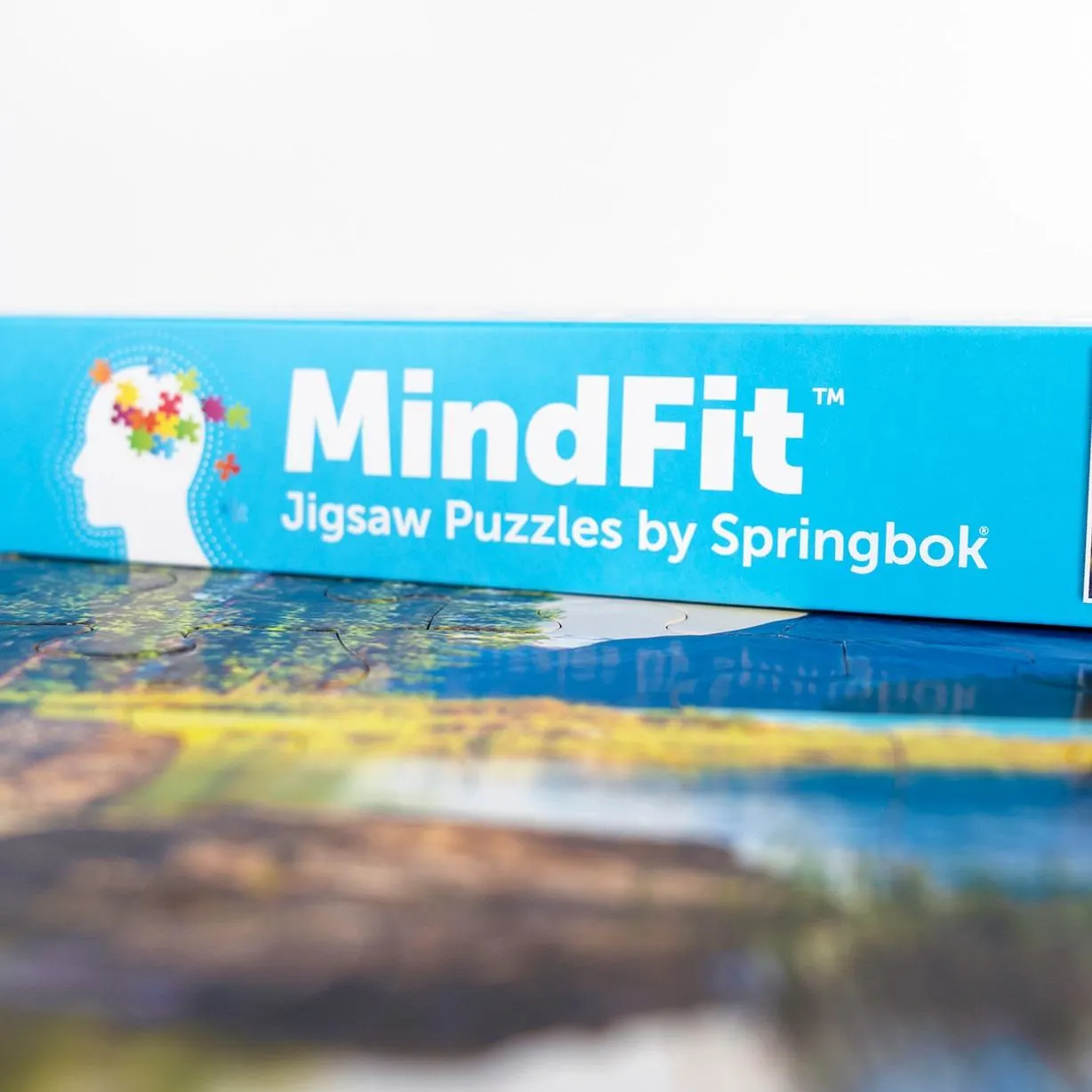 Puzzles to Remember - Spirit Island