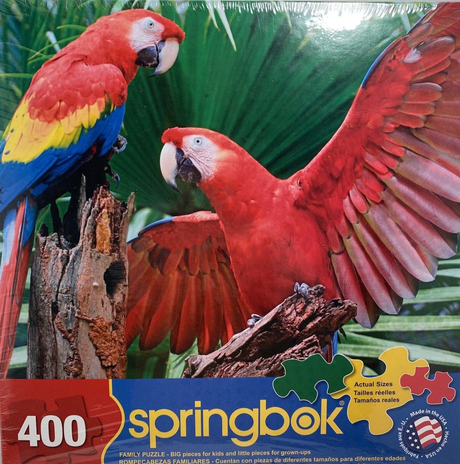 Scarlet Macaw