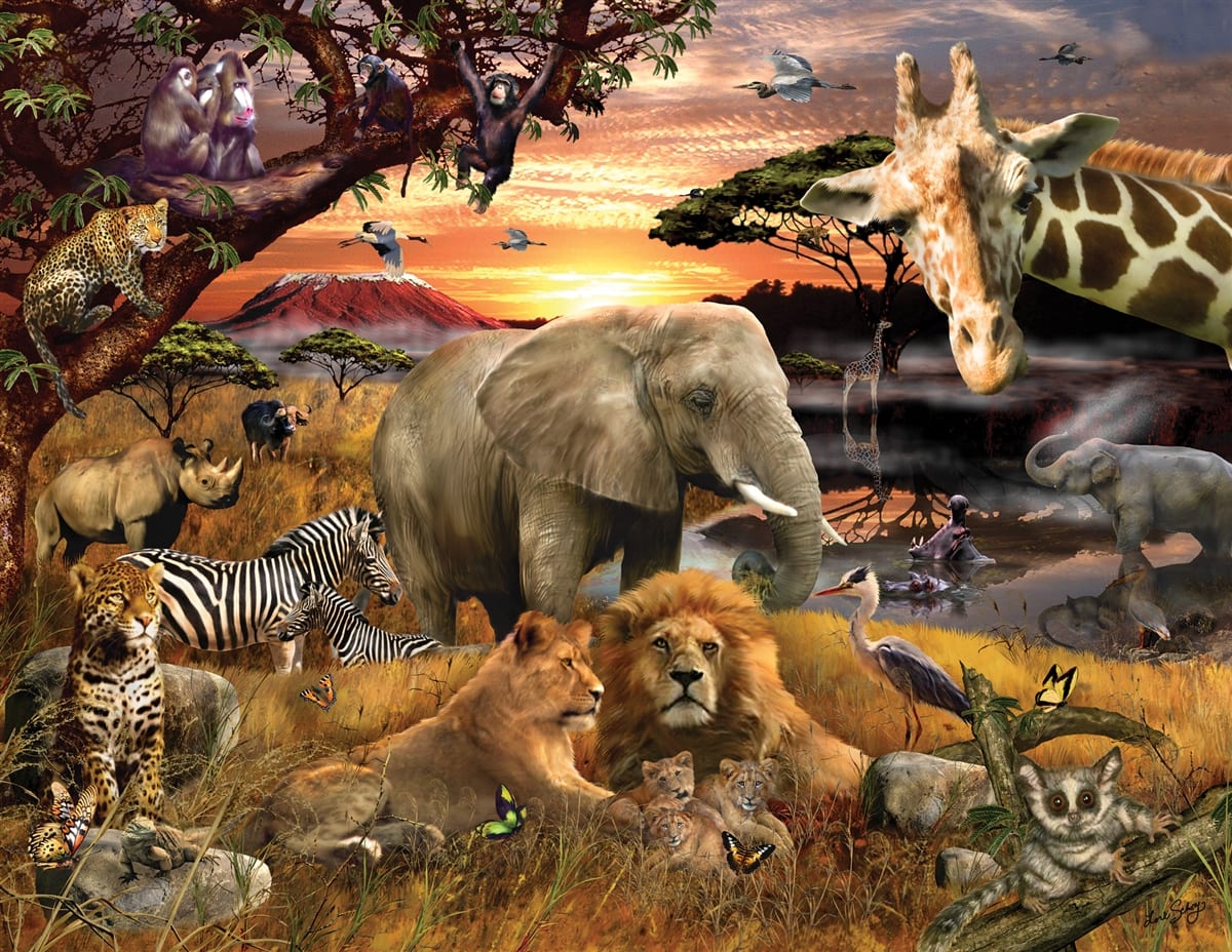 Wild Savanna Jungle Animals