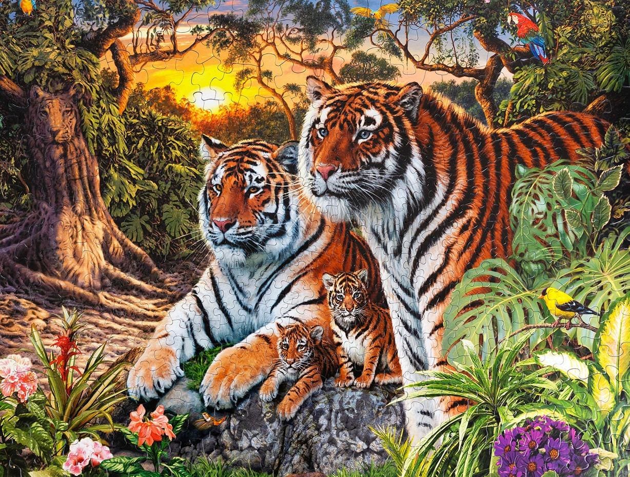 Hidden Tigers 