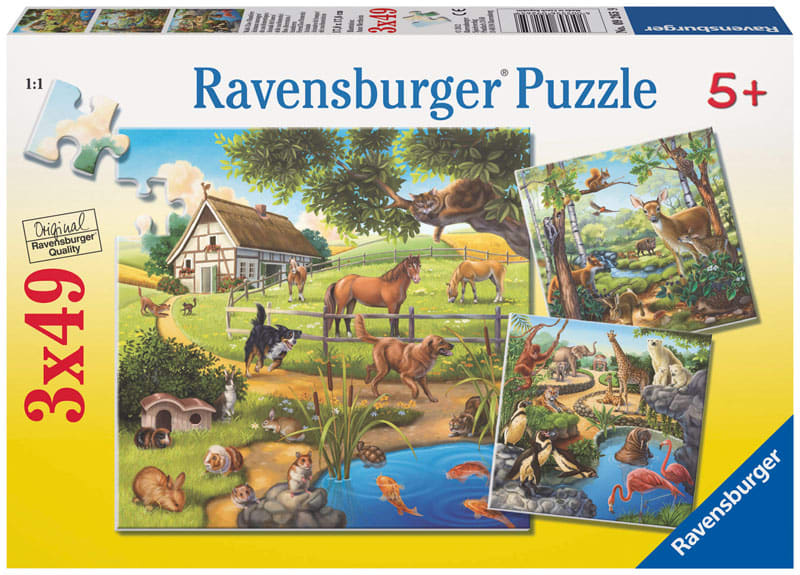 Forest/Zoo/Domestic Animals Animals