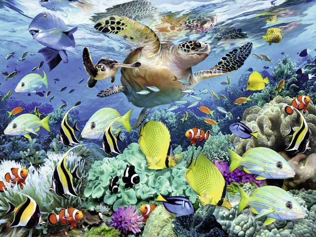 Underwater Paradise Sea Life Jigsaw Puzzle