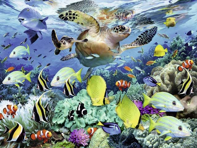 Underwater Paradise - Scratch and Dent Sea Life