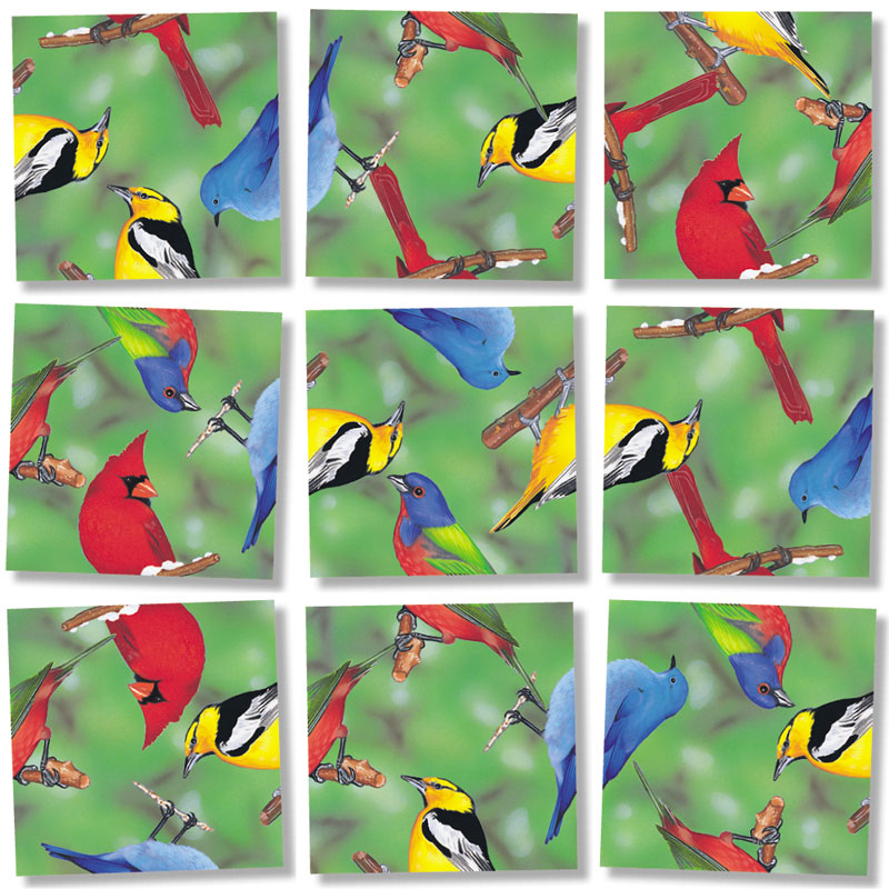 North American Birds Birds
