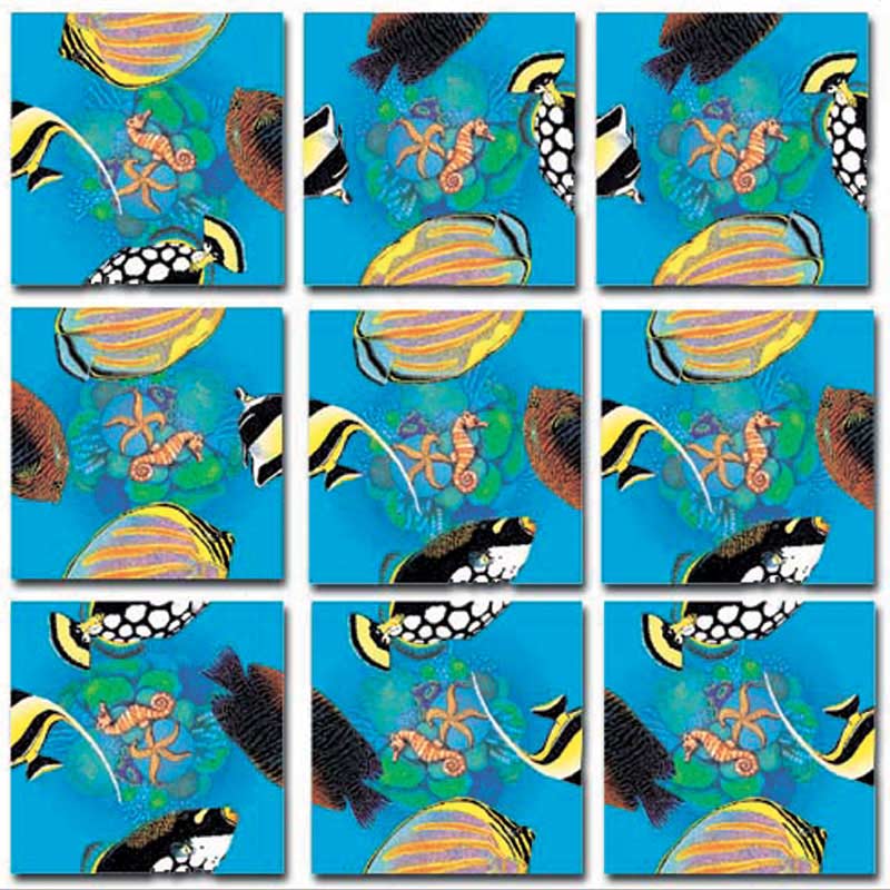 Tropical Fish Sea Life
