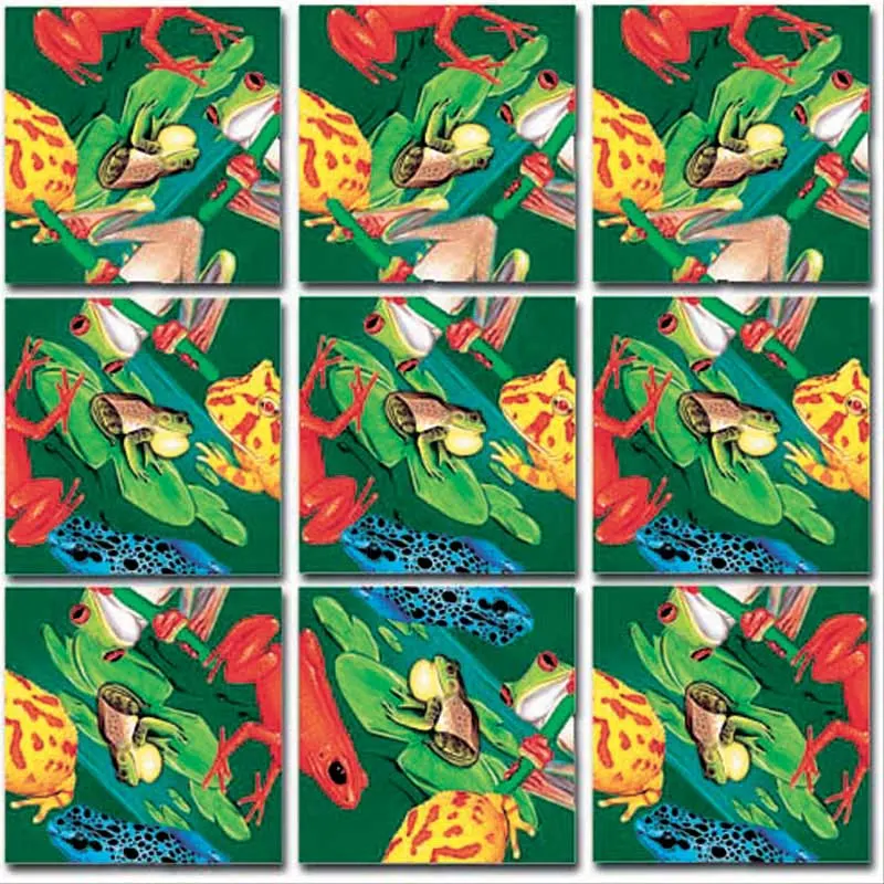 Frogs Reptile & Amphibian