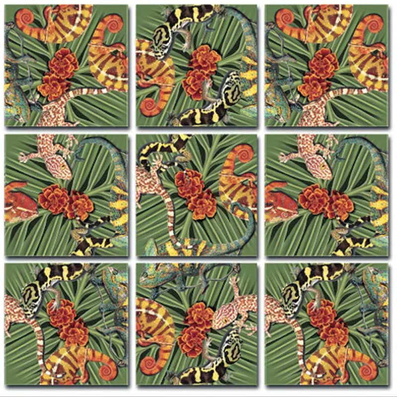 Lizards Reptile & Amphibian