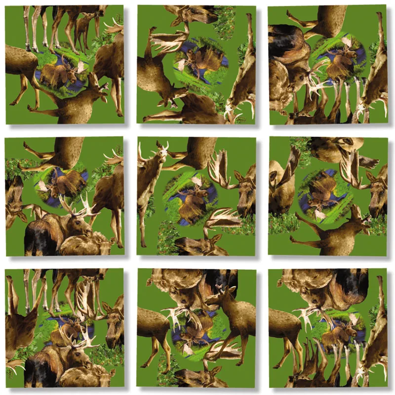 Moose! Forest Animal