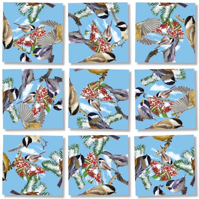 Black Capped Chickadees Birds