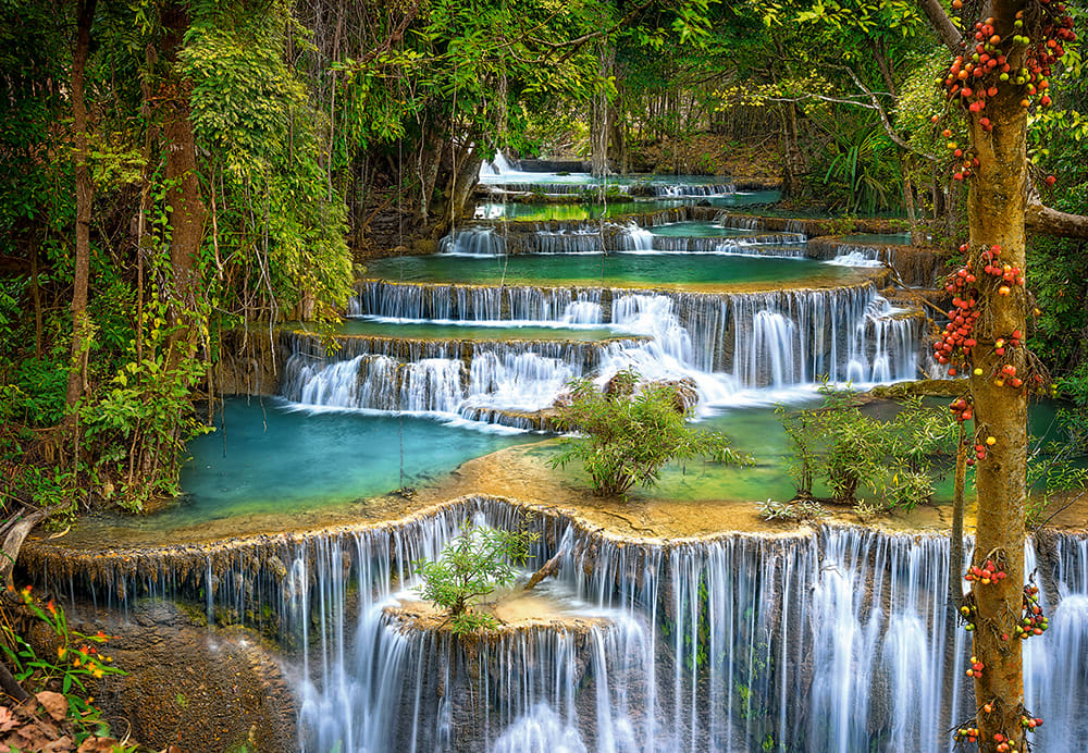 The Cascade Forest