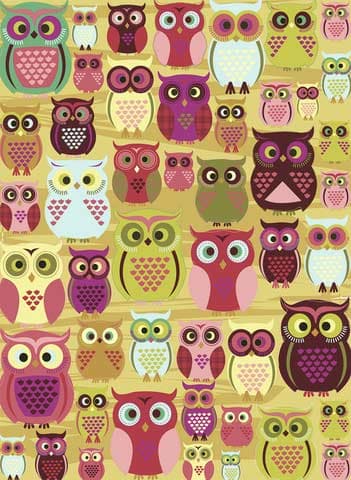 Owls Birds