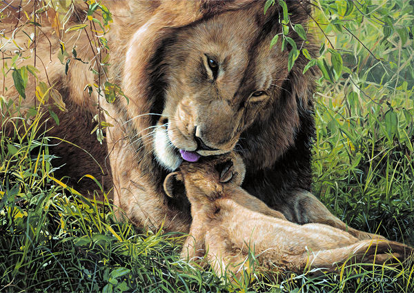 Wild Tenderness Animals