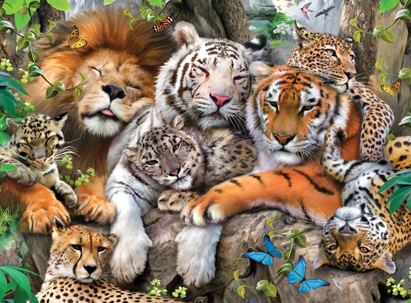 Big Cat Nap