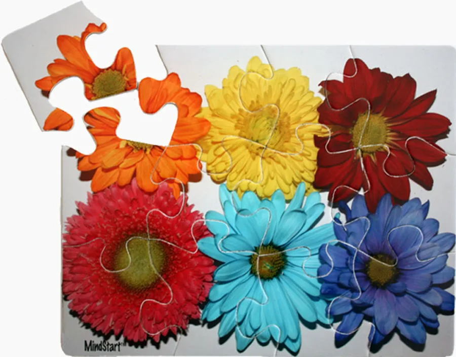 Flowers (12pc) Flower & Garden