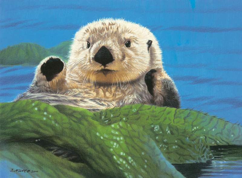 Friendly Otter Animals