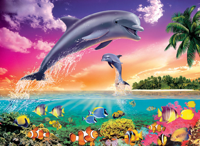Dolphin's Universe Sea Life