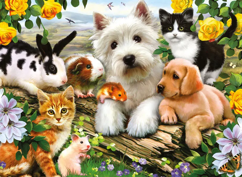 Happy Animal Buddies Animals