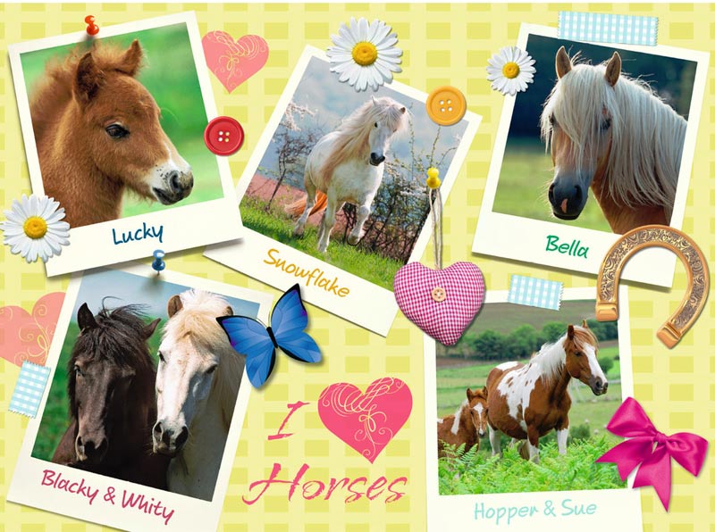 Favorite Horses Horse