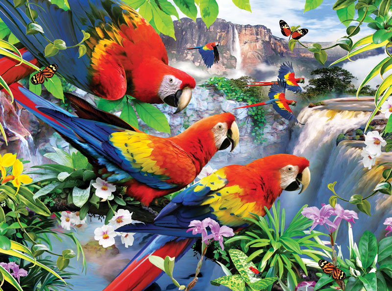 Tropical Birds Birds Jigsaw Puzzle