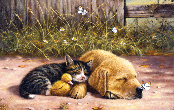 Nap Time Cats Jigsaw Puzzle