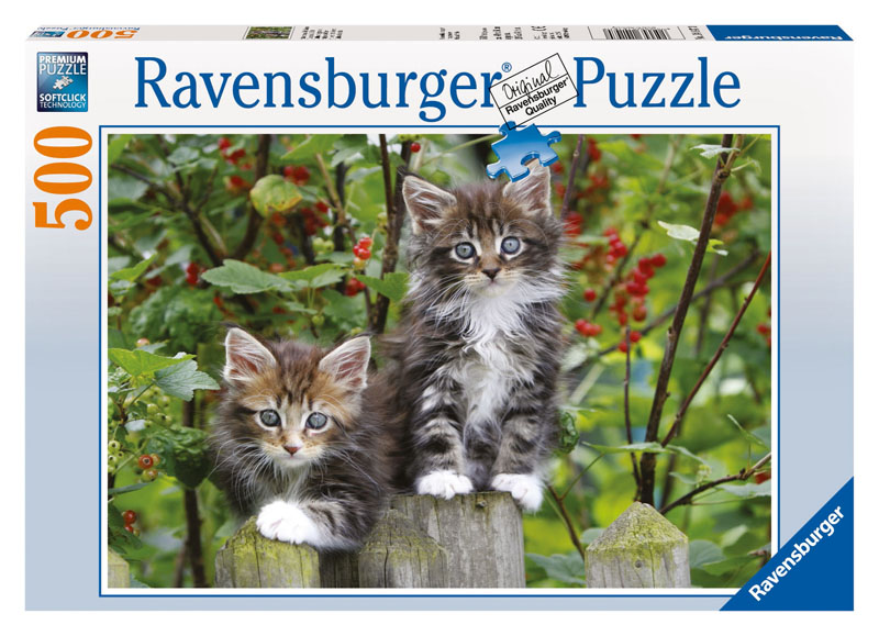 Kitties on the Fence Cats