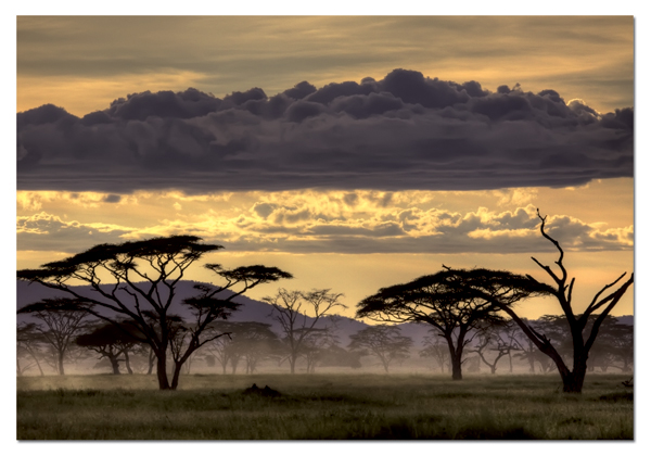 African Landscape Landscape