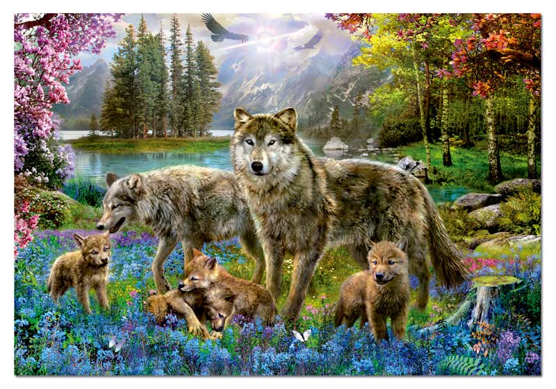 Wolf Family Wolf