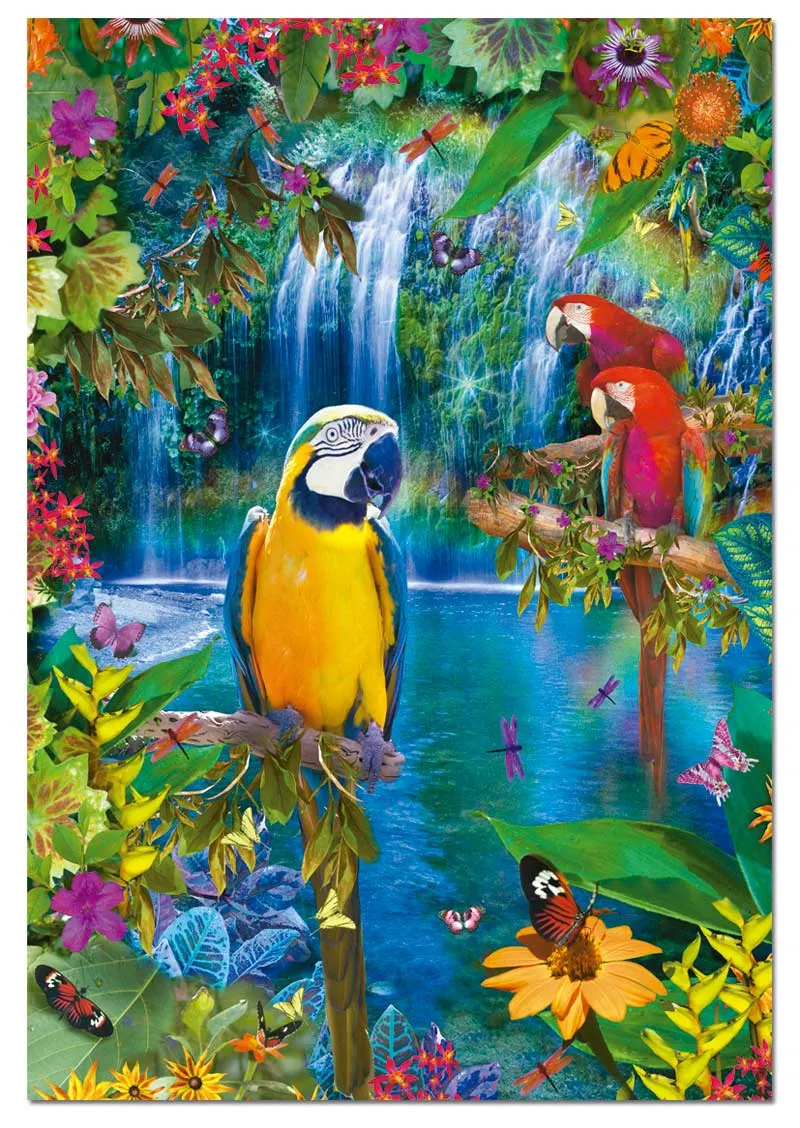 Bird Tropical Land - Scratch and Dent Birds