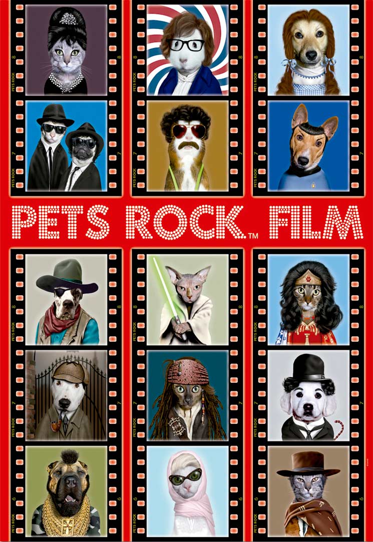 Pets Rock Film Cats Jigsaw Puzzle