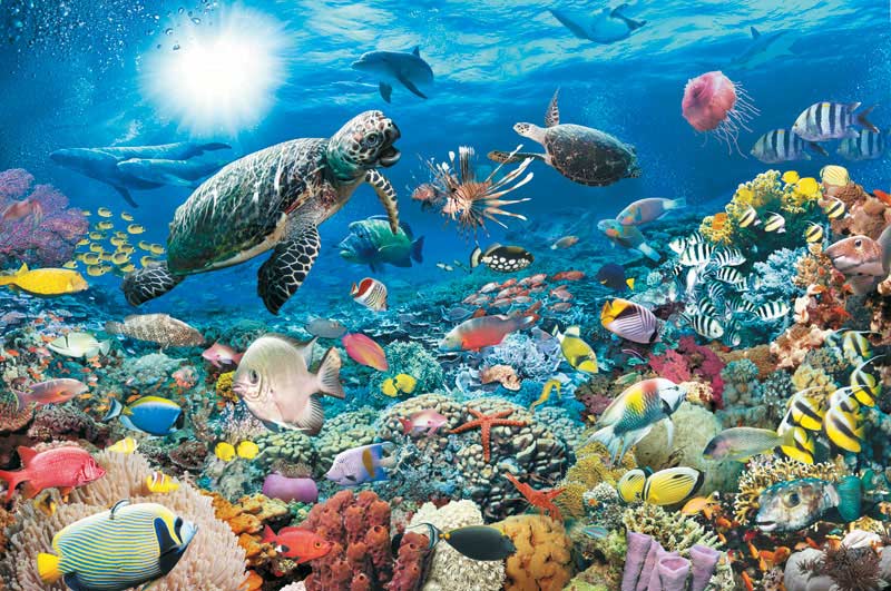 Beneath The Sea Sea Life Jigsaw Puzzle