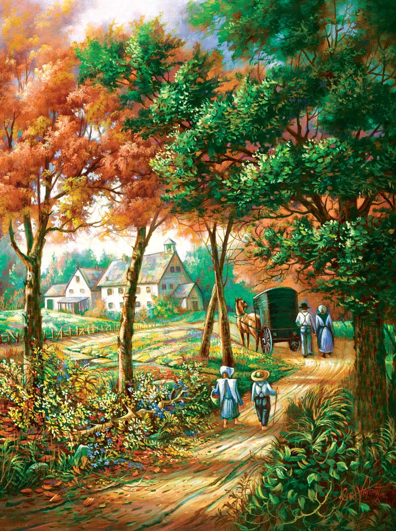 Evening Shadow Countryside