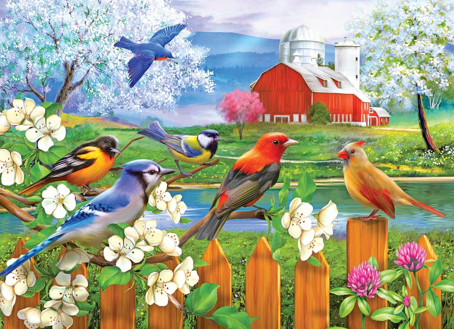 Puzzle Collector - 4 In1 - Songbirds