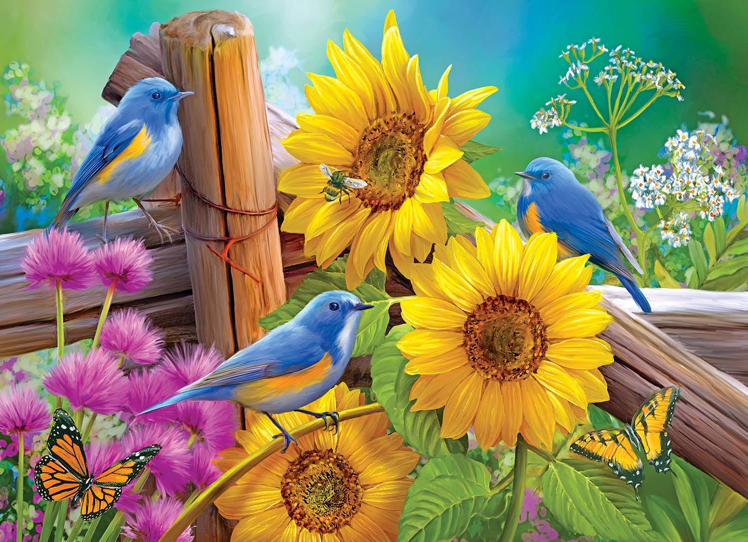 Puzzle Collector - 4 In1 - Songbirds