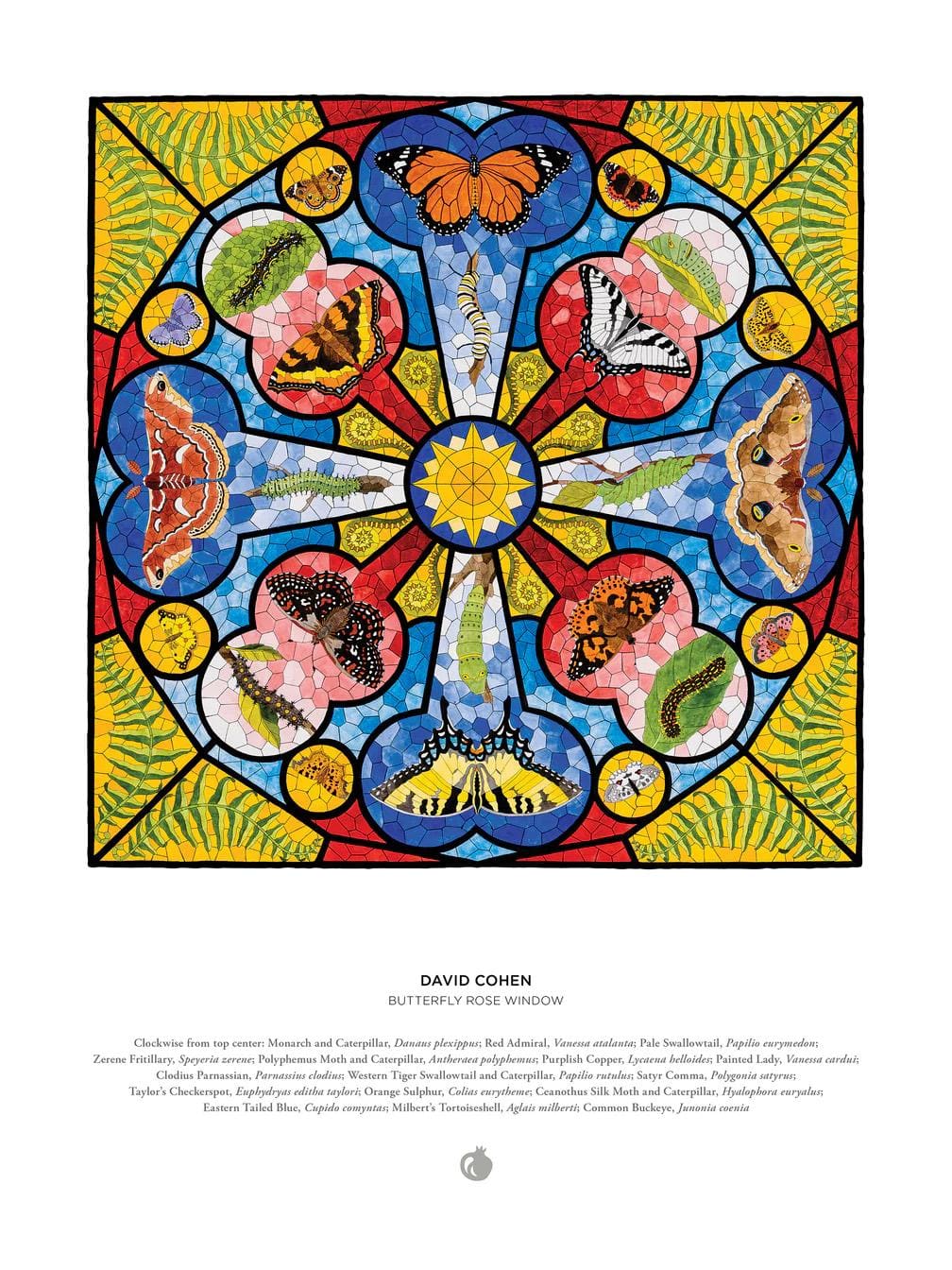 David Cohen: Butterfly Rose Window