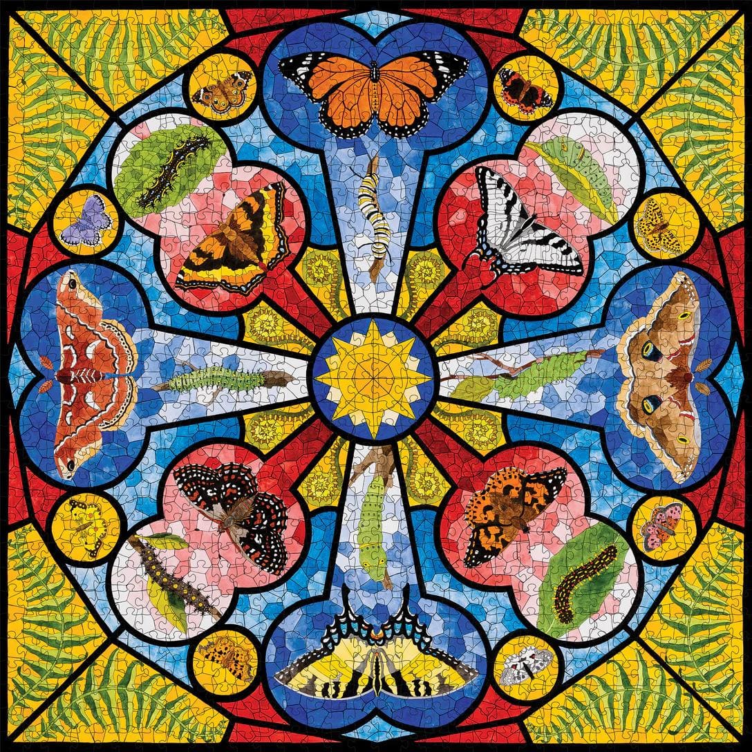 David Cohen: Butterfly Rose Window