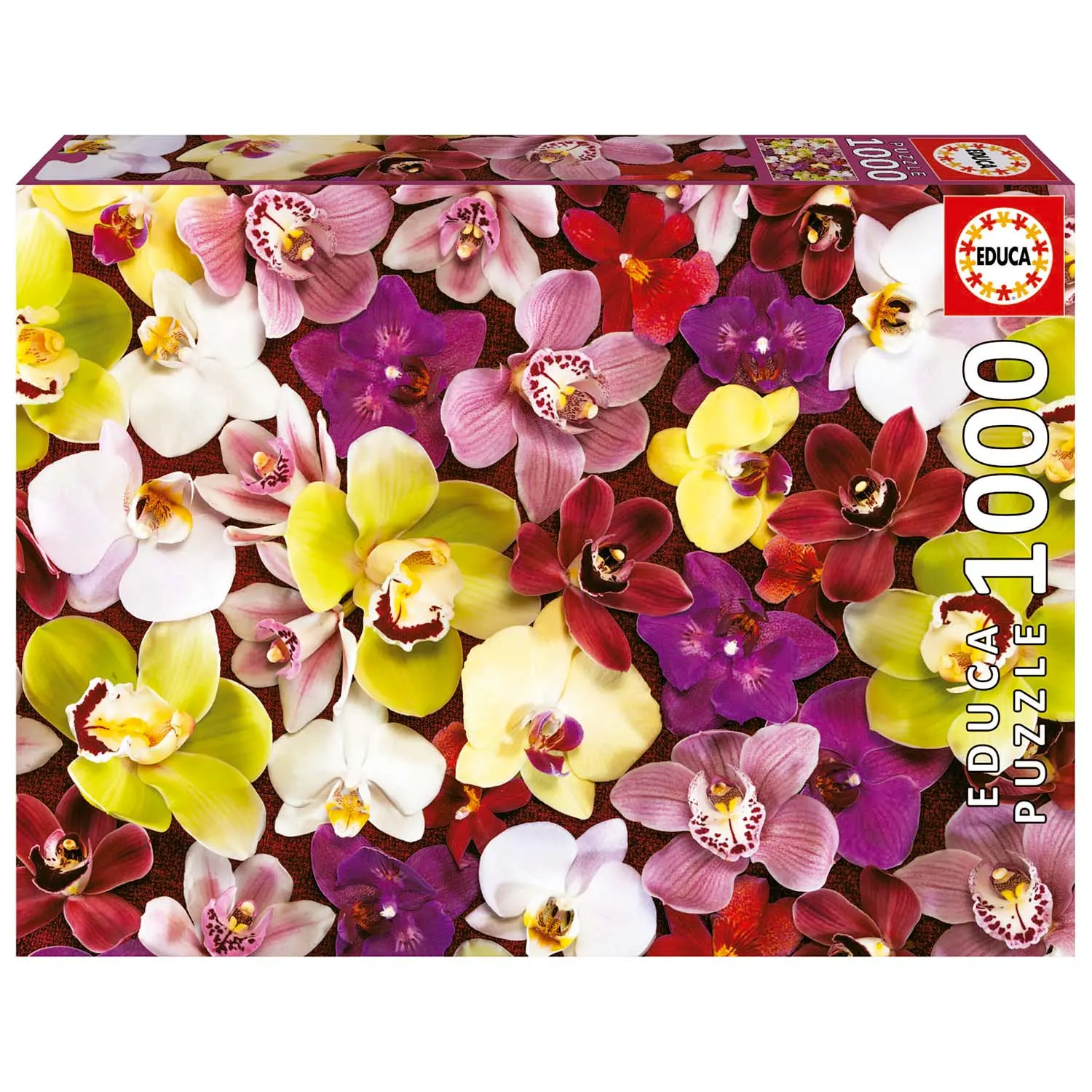 Orchid Collage