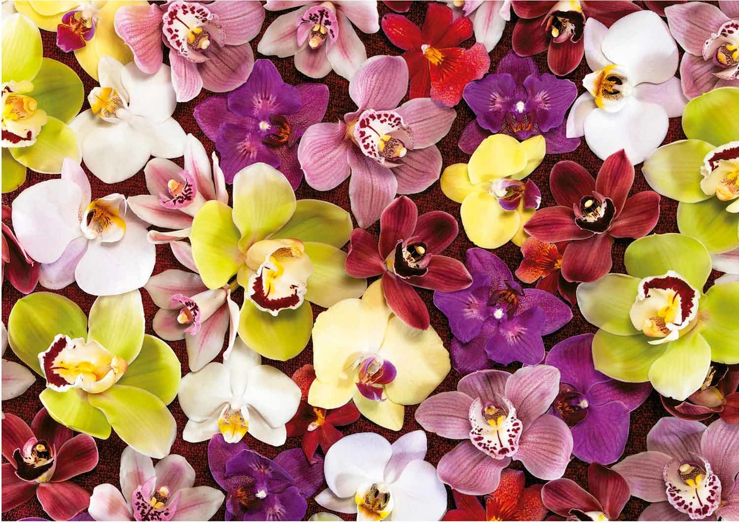 Orchid Collage Flower & Garden