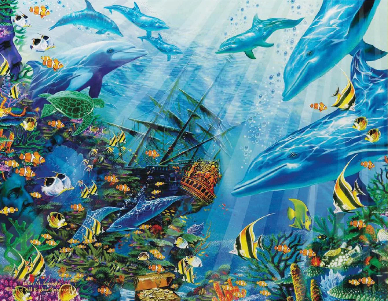 Return to Treasure Island Sea Life