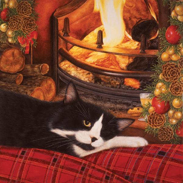 Fireside Cats