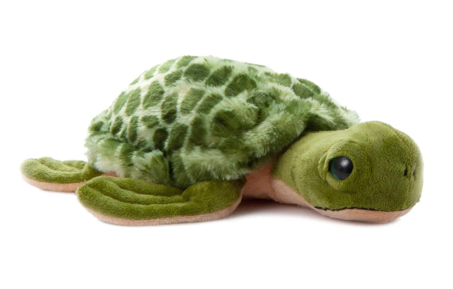 12" Wild Onez Sea Turtle