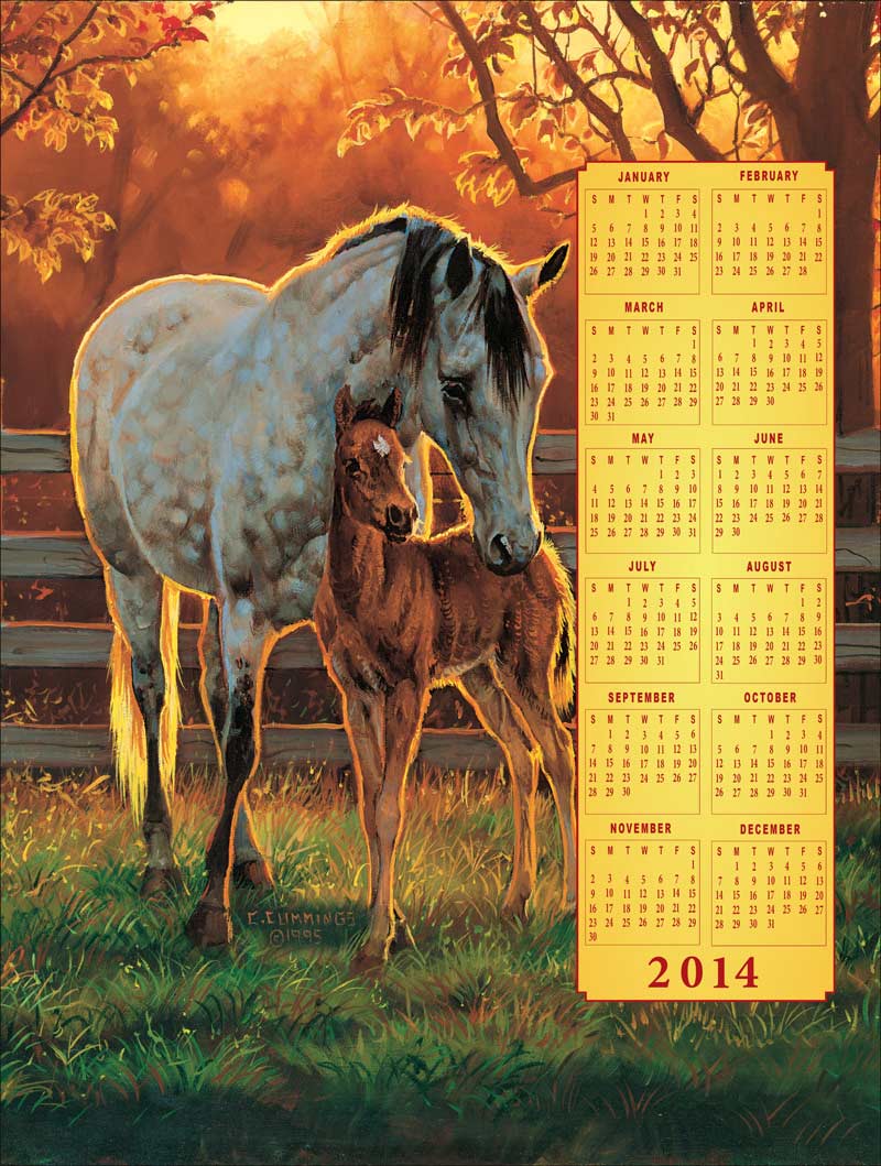 Time's Pieces - Quiet Pasture Horse