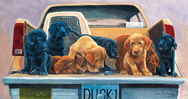 Tailgate Party Dogs Jigsaw Puzzle