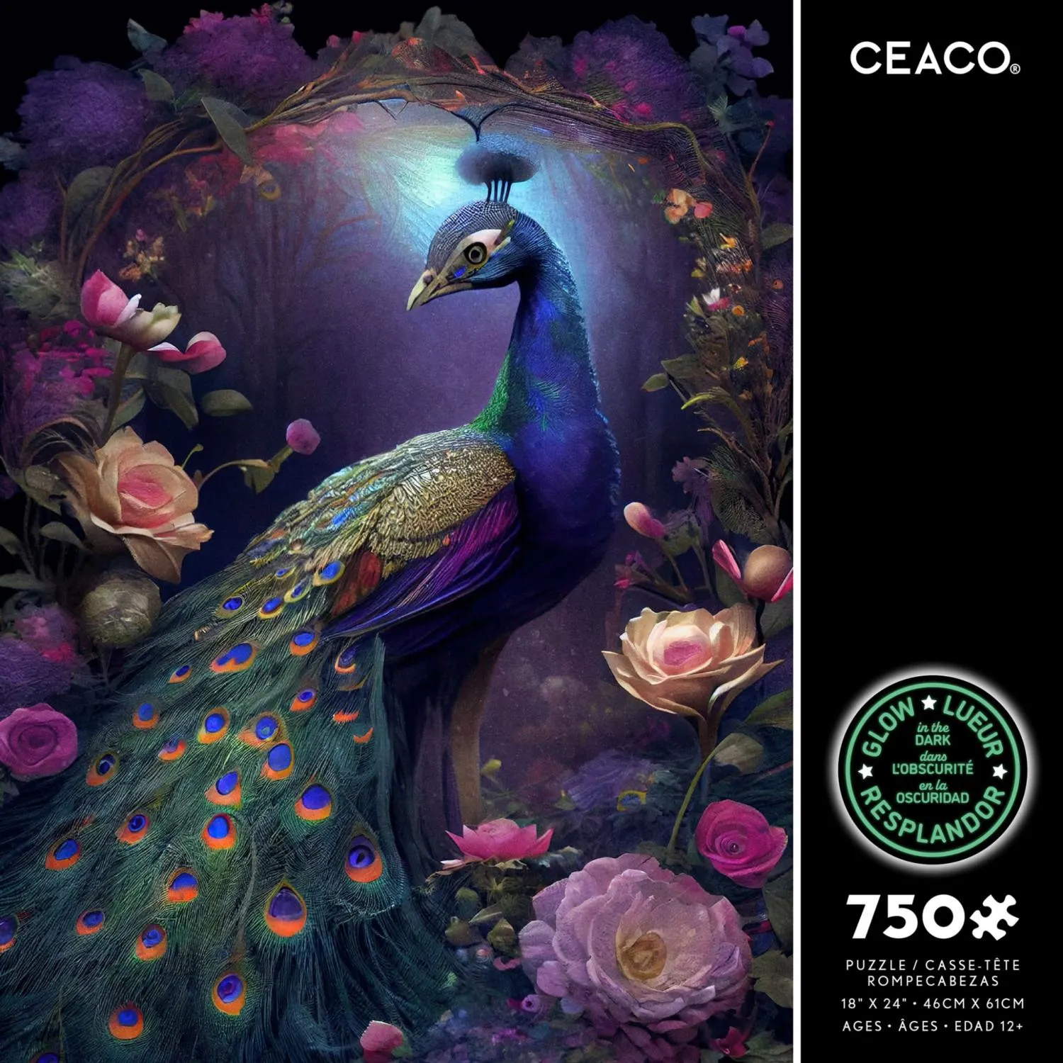 Peacock Glow