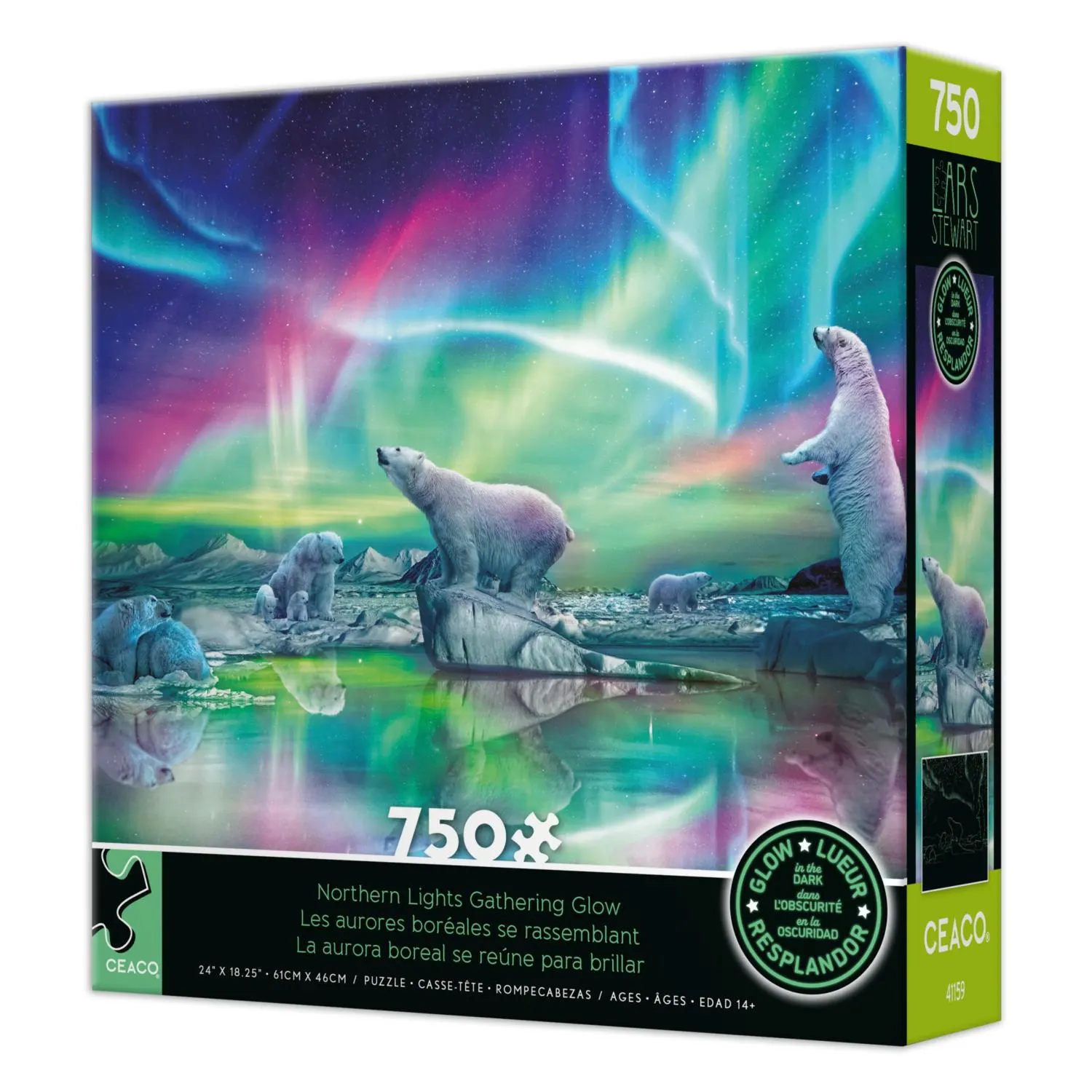 Northern Lights Gathering Glow