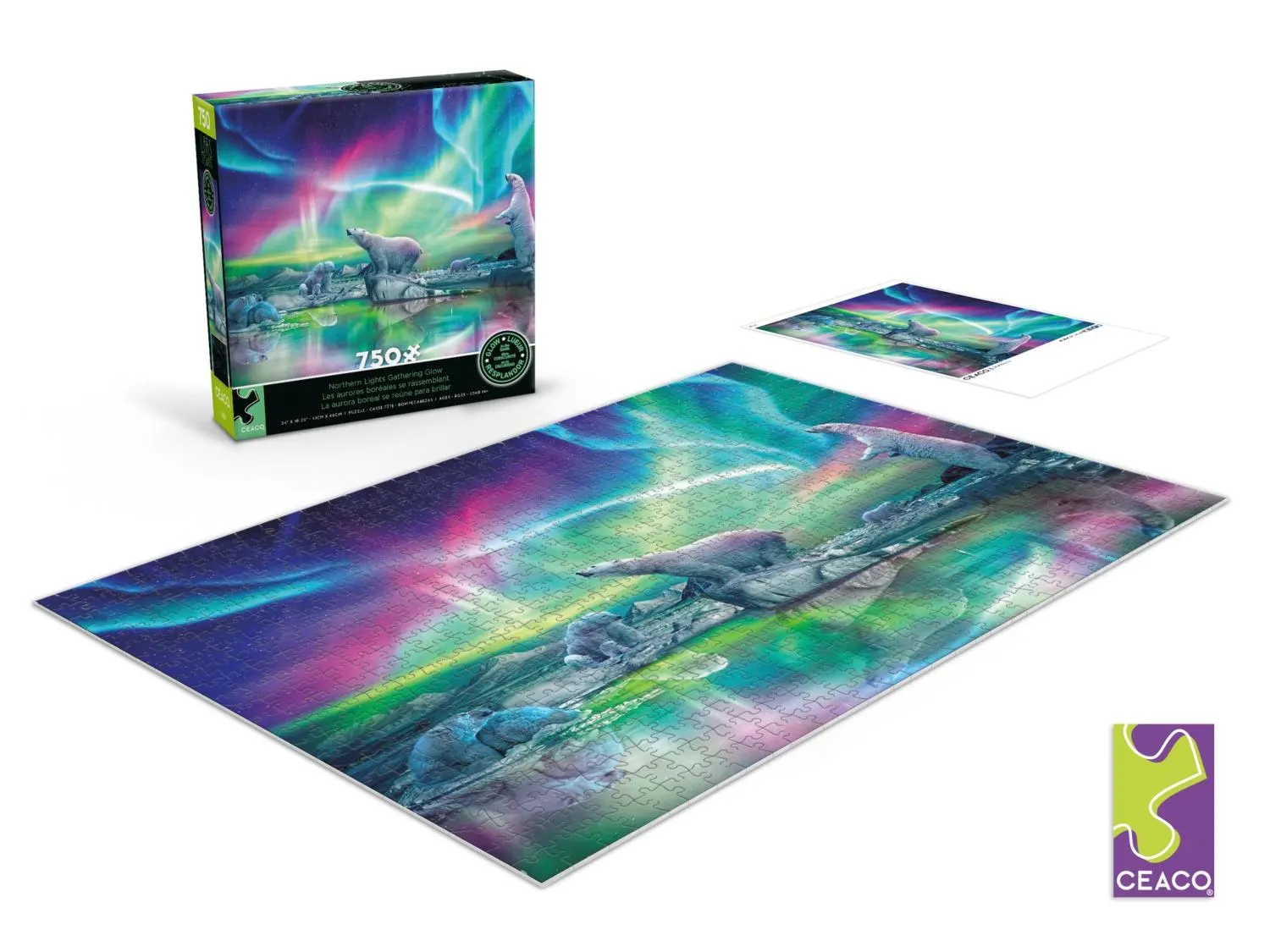 Northern Lights Gathering Glow