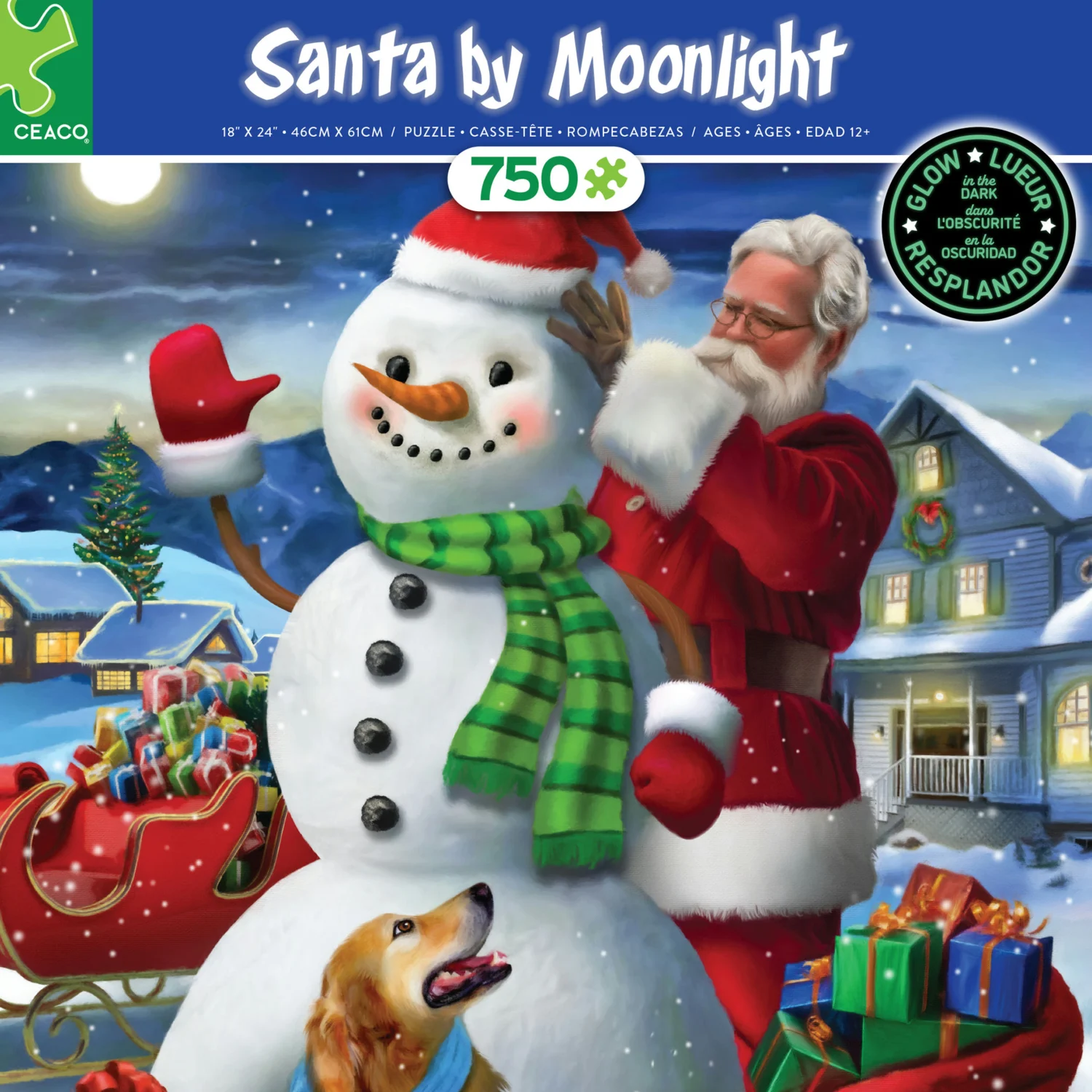 Santa By Moonlight Glow Christmas