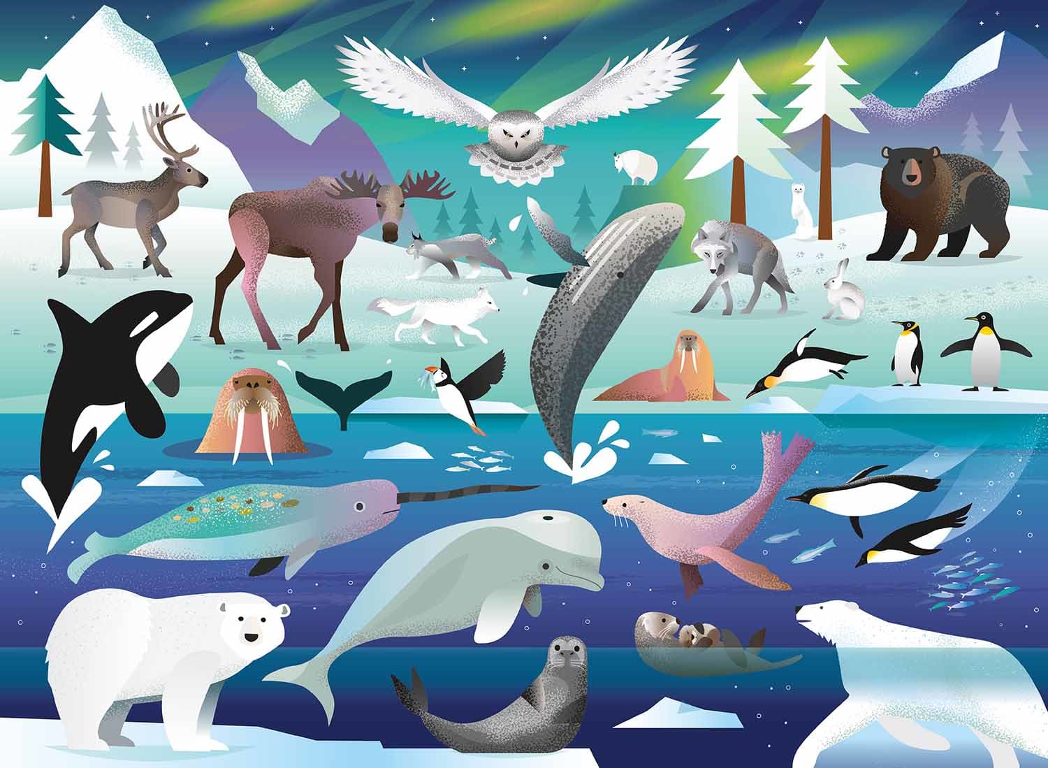 Arctic Adventure Animals