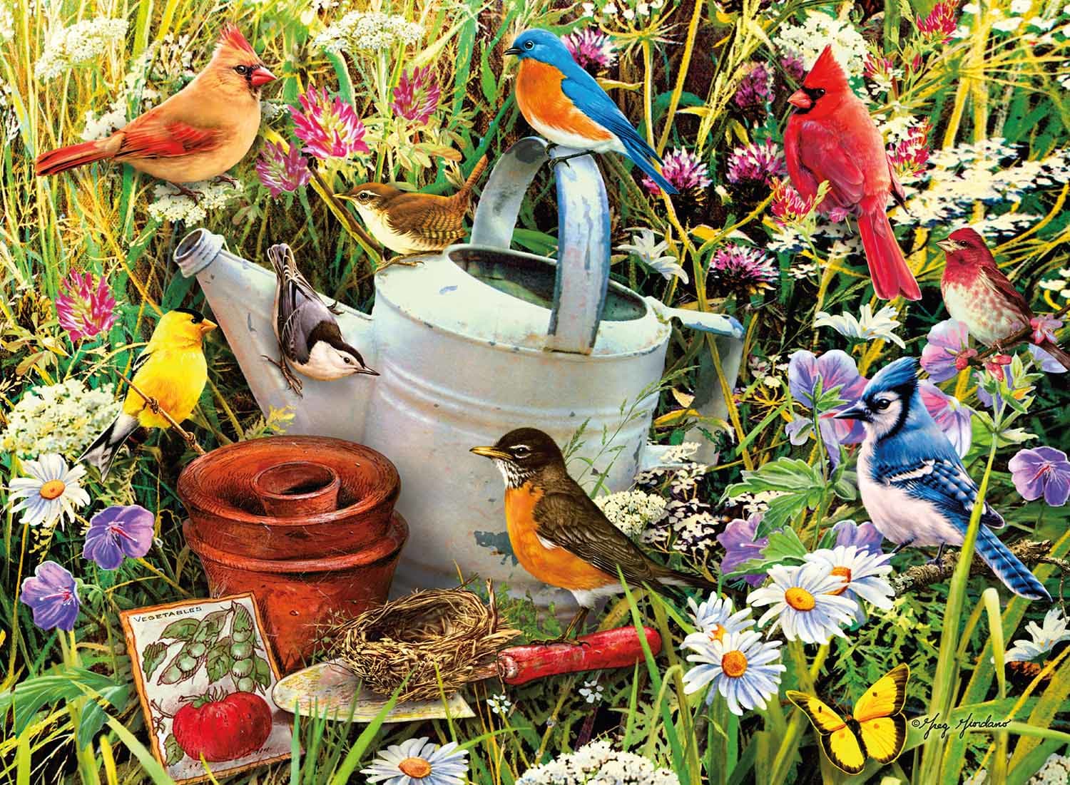 Garden Birds - Scratch and Dent Birds